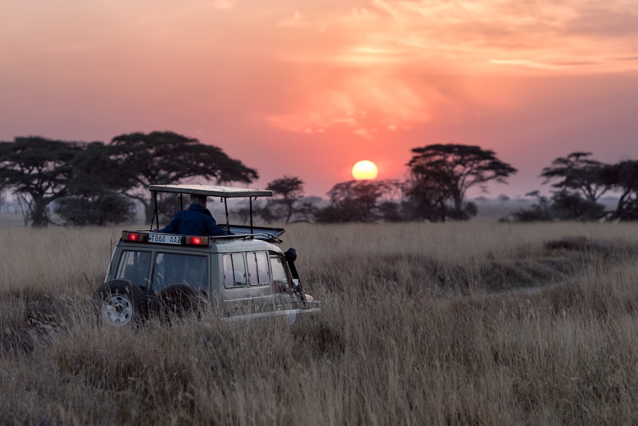 Wildlife on a safari at golden hour